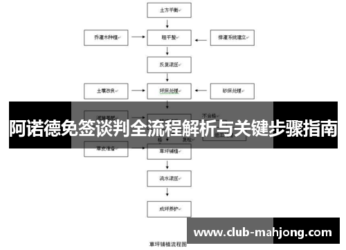 阿诺德免签谈判全流程解析与关键步骤指南 阿诺德免签谈判全流程解析与关键步骤指南